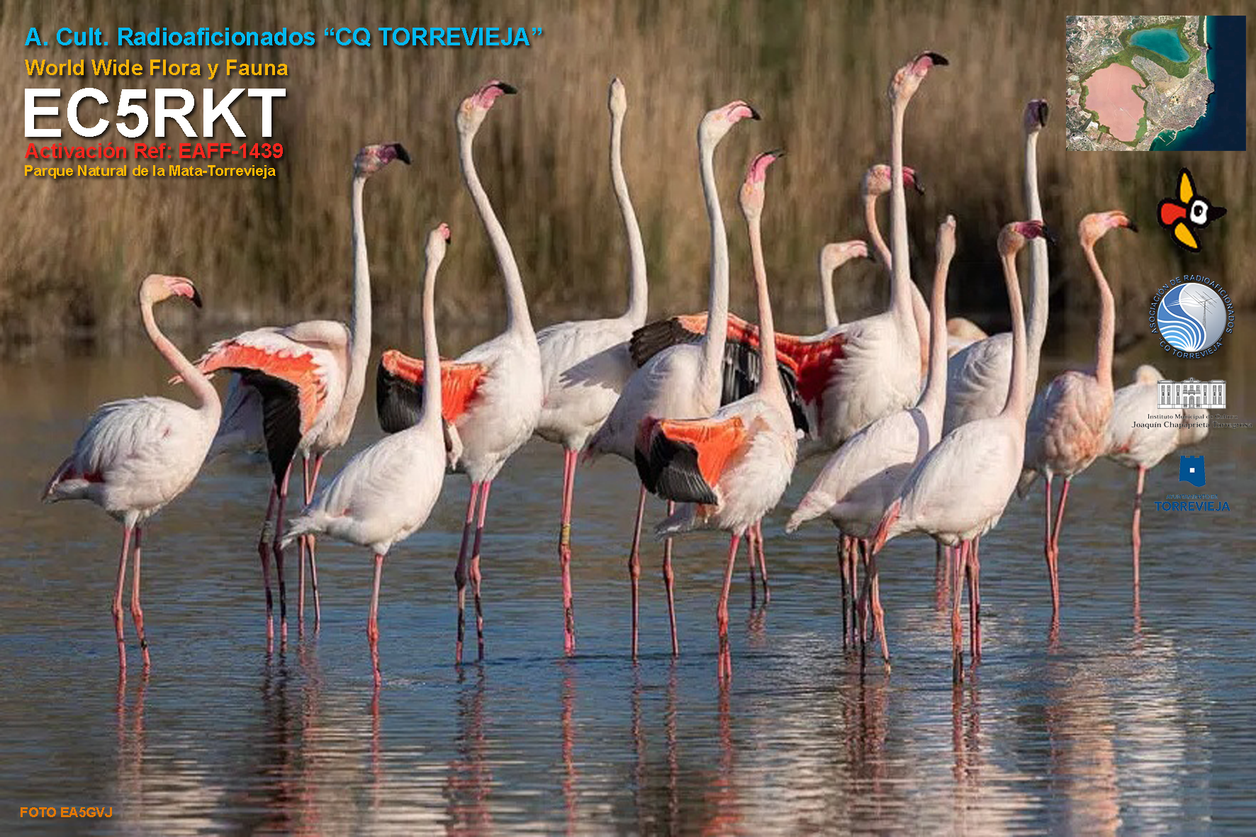 Imagen de Parque Natural Lagunas de la Mata y Torrevieja